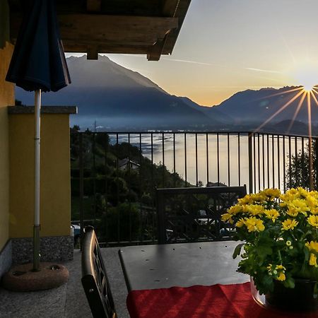 베르카나 La Collina Degli Ulivi 아파트 외부 사진