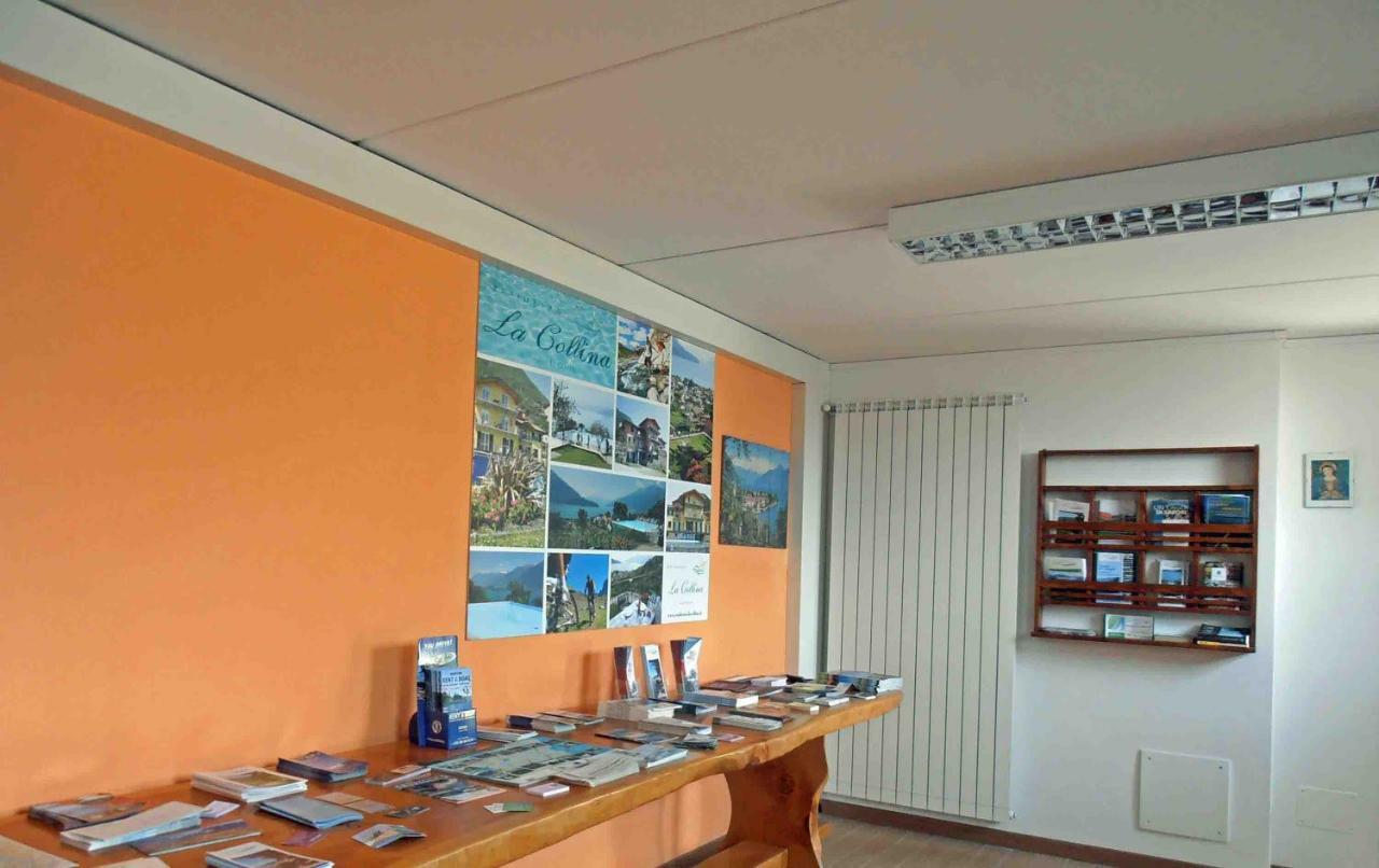 베르카나 La Collina Degli Ulivi 아파트 외부 사진