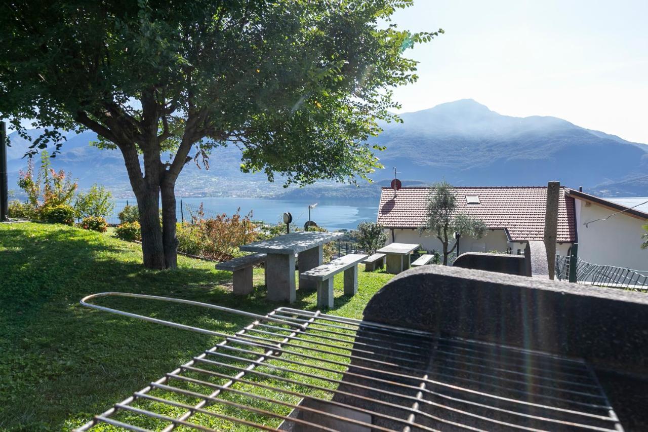 베르카나 La Collina Degli Ulivi 아파트 외부 사진